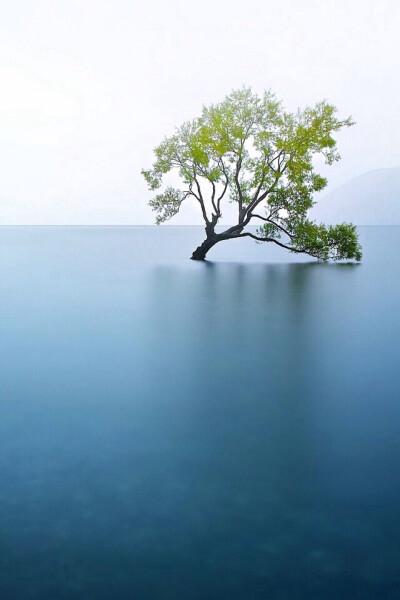 Lake Wanaka 【新西兰瓦纳卡湖风景】