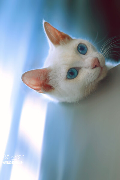 想你时你在天边～