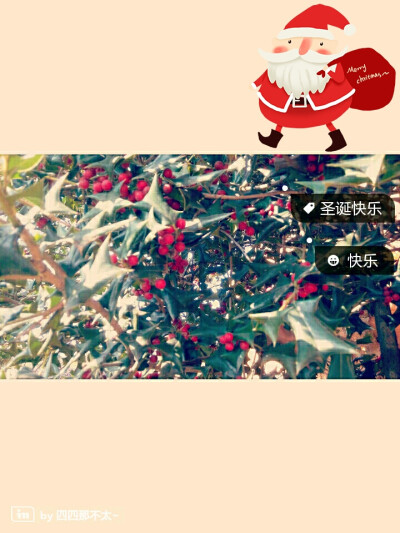 圣诞快乐～