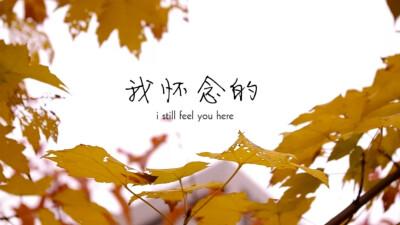 I still feel you here...