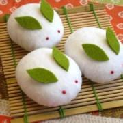 和果子（わがしwagashi），其实泛指日式糕点。就大类别来区分，可以分为生果子和干果子两大主题。生果子又名主果子、上升果子或朝生果，指早上制作的新鲜糕点。由于保存期限短，一般只能放两天左右，要趁鲜食用。比…