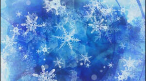 亮晶晶的雪花。