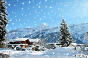 雪是多么的洁白。