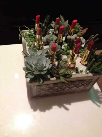  肉肉遇到口红——彤胡花艺定制