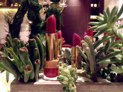 口红与多肉