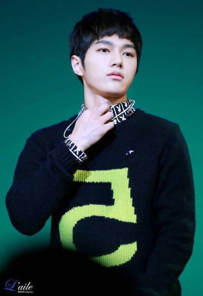 金明洙，infinite L