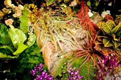 花艺小特写 ——彤胡花艺的小花