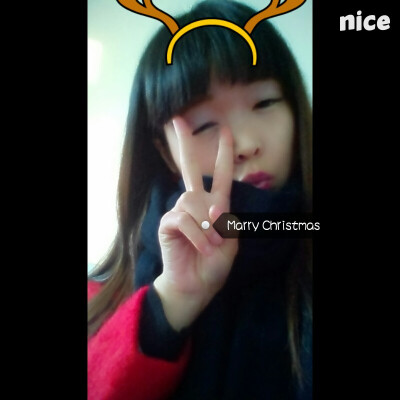  Marry Christmas