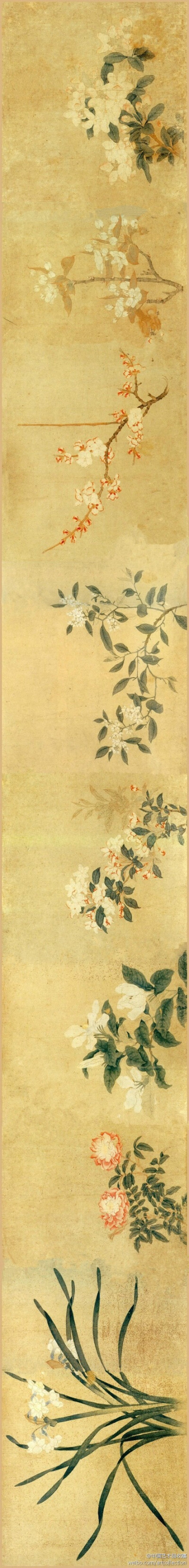 #吴兴八俊#【 元 钱选 《八花图》 】卷，纸本设色，29.4×333.9cm，北京故宫博物院藏。此卷以分段法描绘海棠、梨花、杏花、水仙、桃花、牡丹等八种花卉，每种相对独立，合之又成为整体。八种花卉各具姿态，偃仰向背绝…