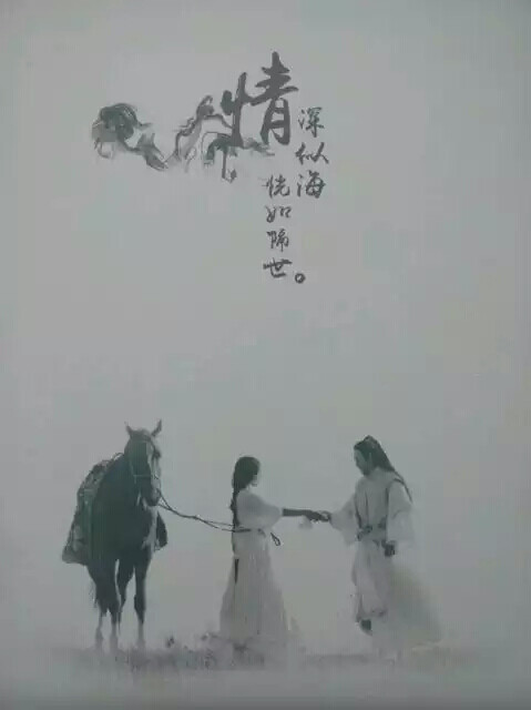 兰陵王妃