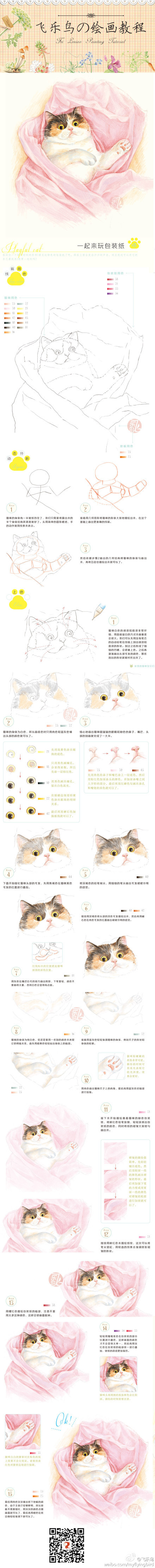 飞乐鸟绘画 基础教程 每天十分钟彩铅笔 玩包装纸的猫 喵星人