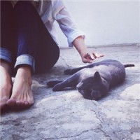 一个人一只猫