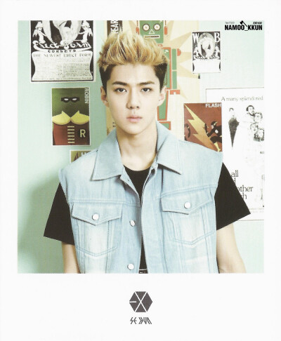 SUM Goods Polaroid Ver.1高清扫图 *EXO