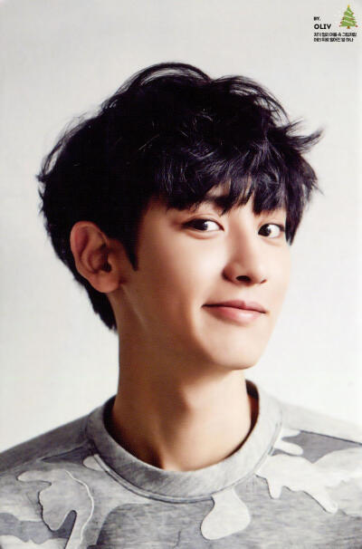 朴灿烈 chanyeol EXO K