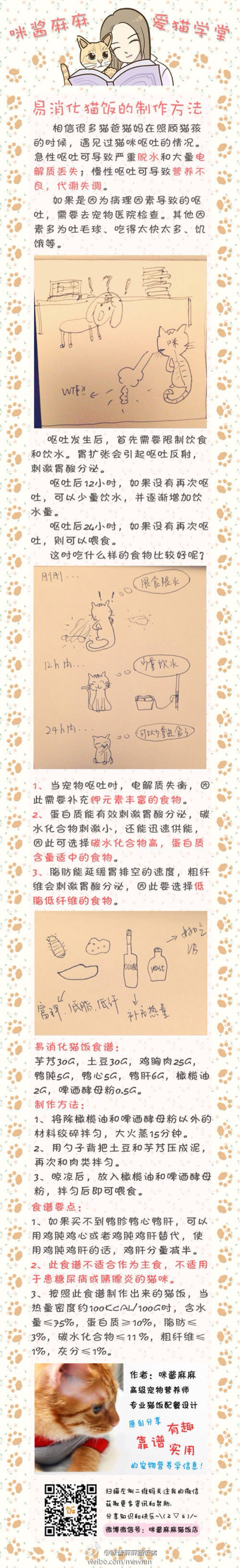 猫咪学堂：易消化猫饭的制作方法