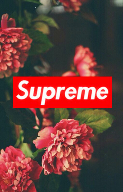 supreme花卉