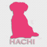 Hachi