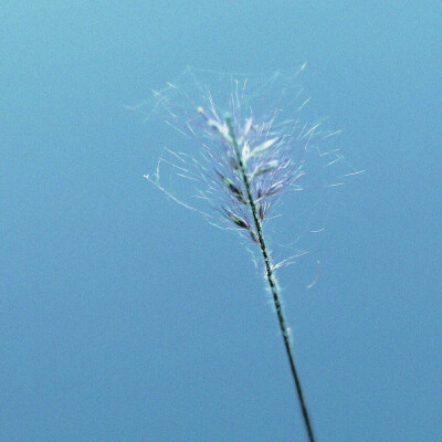 再看一遍 蓝色流连的湖面 这想念 足够跨过天边。。。