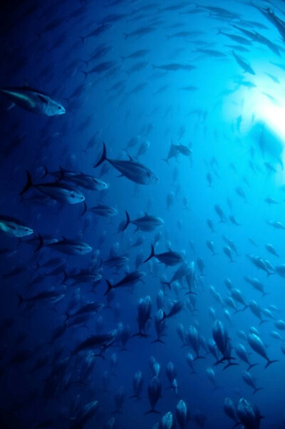 再看一遍 蓝色流连的湖面 这想念 足够跨过天边。。。