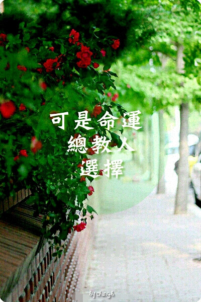 歌曲： 那英 - 那又怎樣 更多請到http://www.duitang.com/album/4621578/