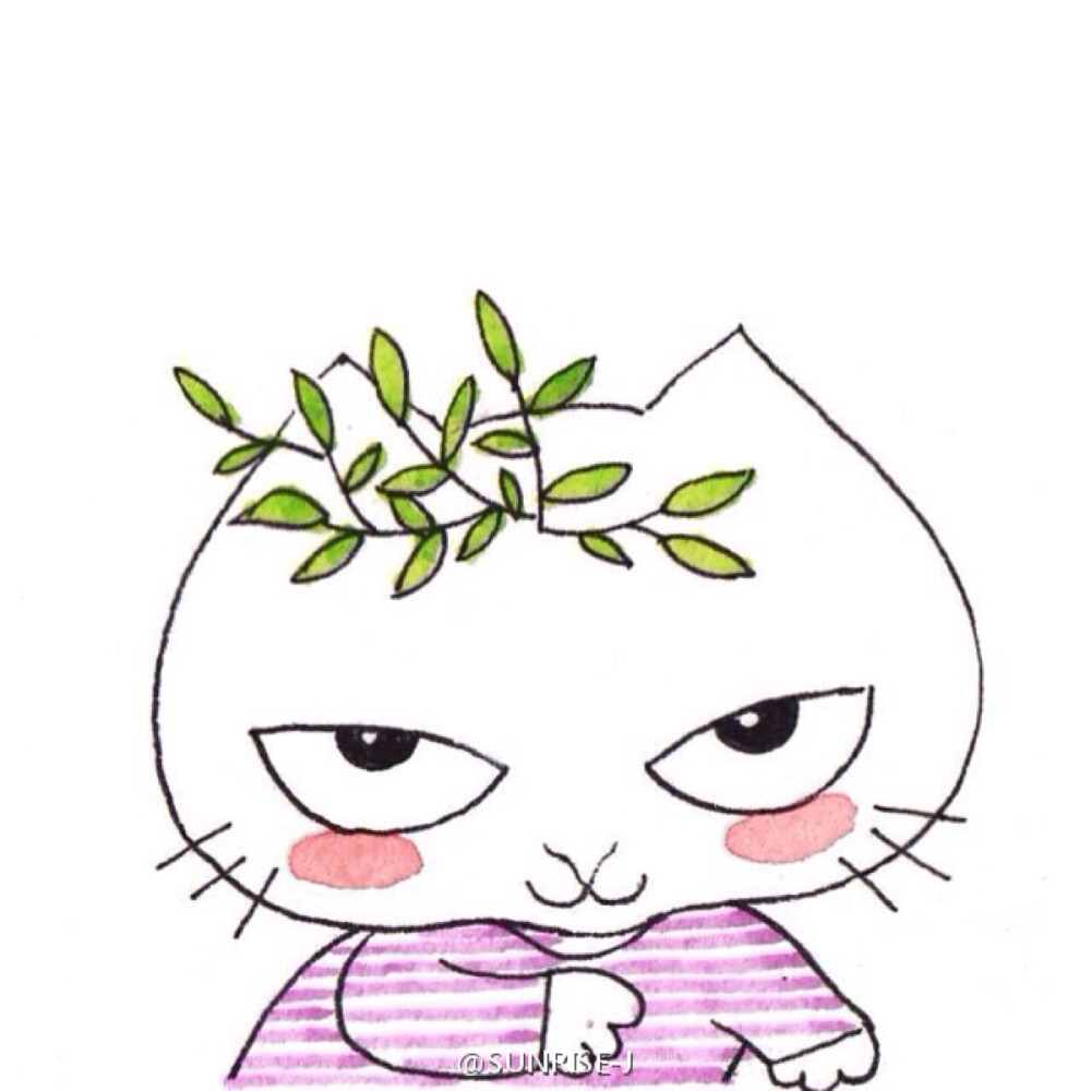 猫咪头像