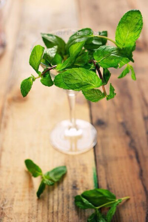 【自然馈赠】薄荷