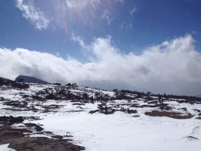 高原呃……好像是个滑雪场……【对姐姐去旅游不带我表示深深的怨念…】●辫子