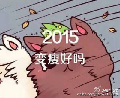 2015新年愿望壁纸