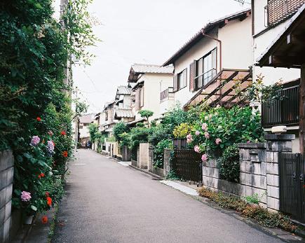 日本-奈良