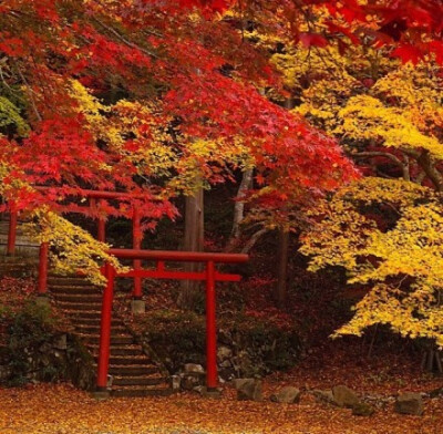 兵庫県（ひょうごけん）的紅葉（图片分别摄于丹波市、篠山市）.jpg