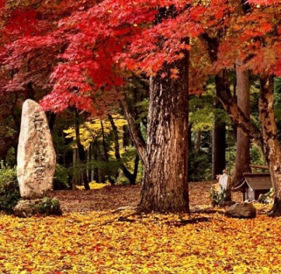 兵庫県（ひょうごけん）的紅葉（图片分别摄于丹波市、篠山市）.jpg