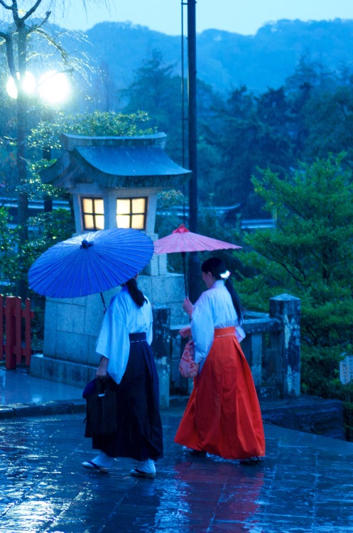 雨天的神社与巫女与番伞（受桔梗的影响，觉得巫女服好霸气）