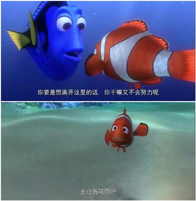 海底总动员 去吧