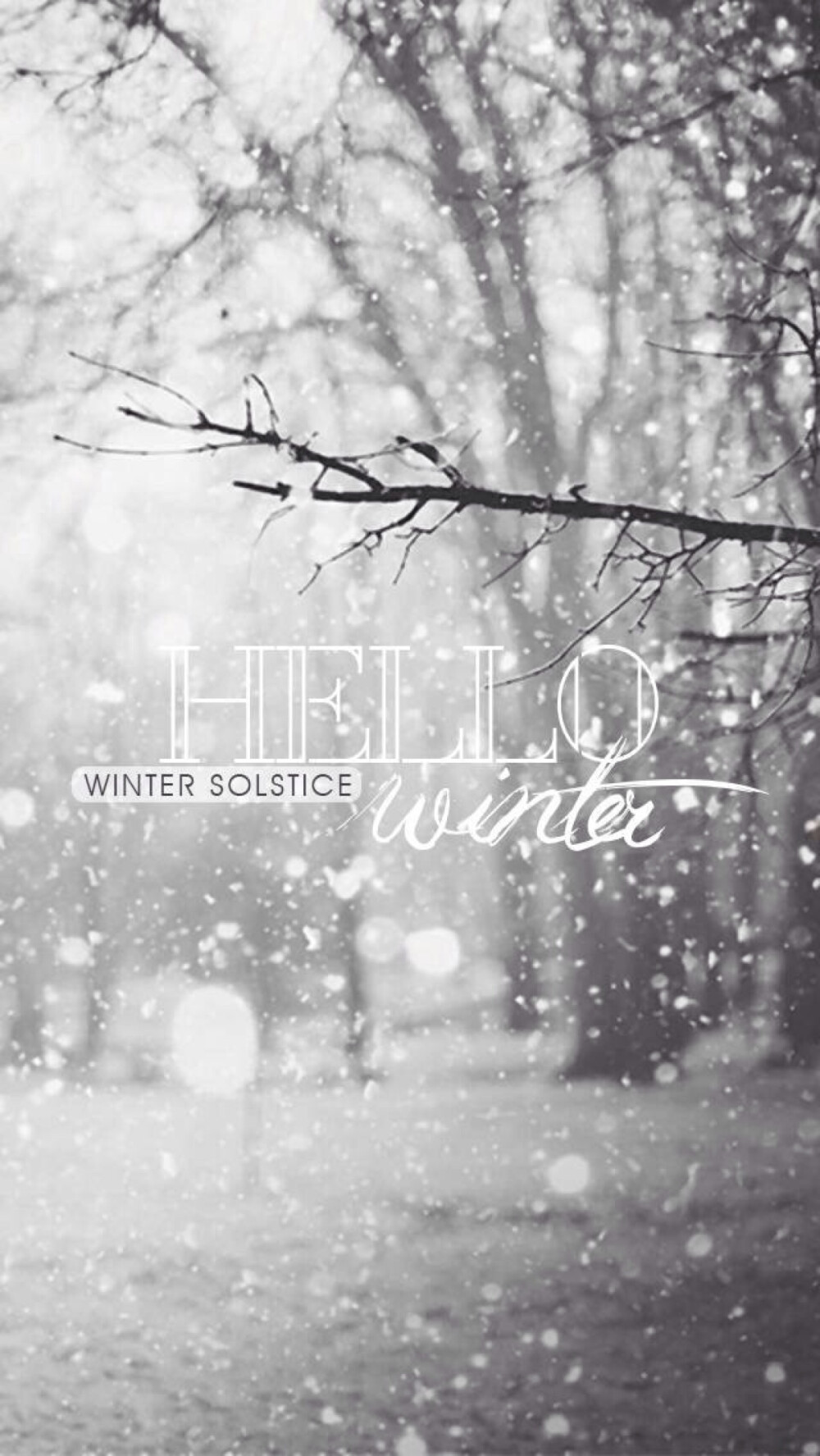 Hello，winter~ [雪][雪][雪]