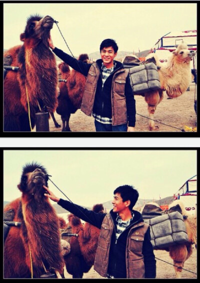 【乔振宇】大盛魁