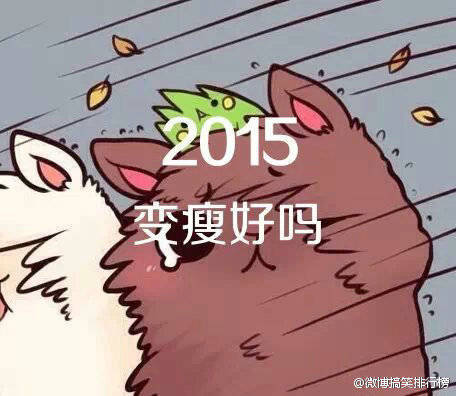 2015 一定要变瘦！