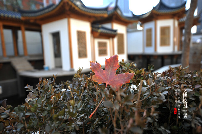 北京文博学院(即中国文物学会文博学院)1999年成立，建校15周年，是国内首家专门从事:文物鉴定、文物艺术品拍卖管理、文物保护与修复、文化遗产与工艺制造、服装首饰设计与鉴定等领域高等文化职业人才教育的特色学府。