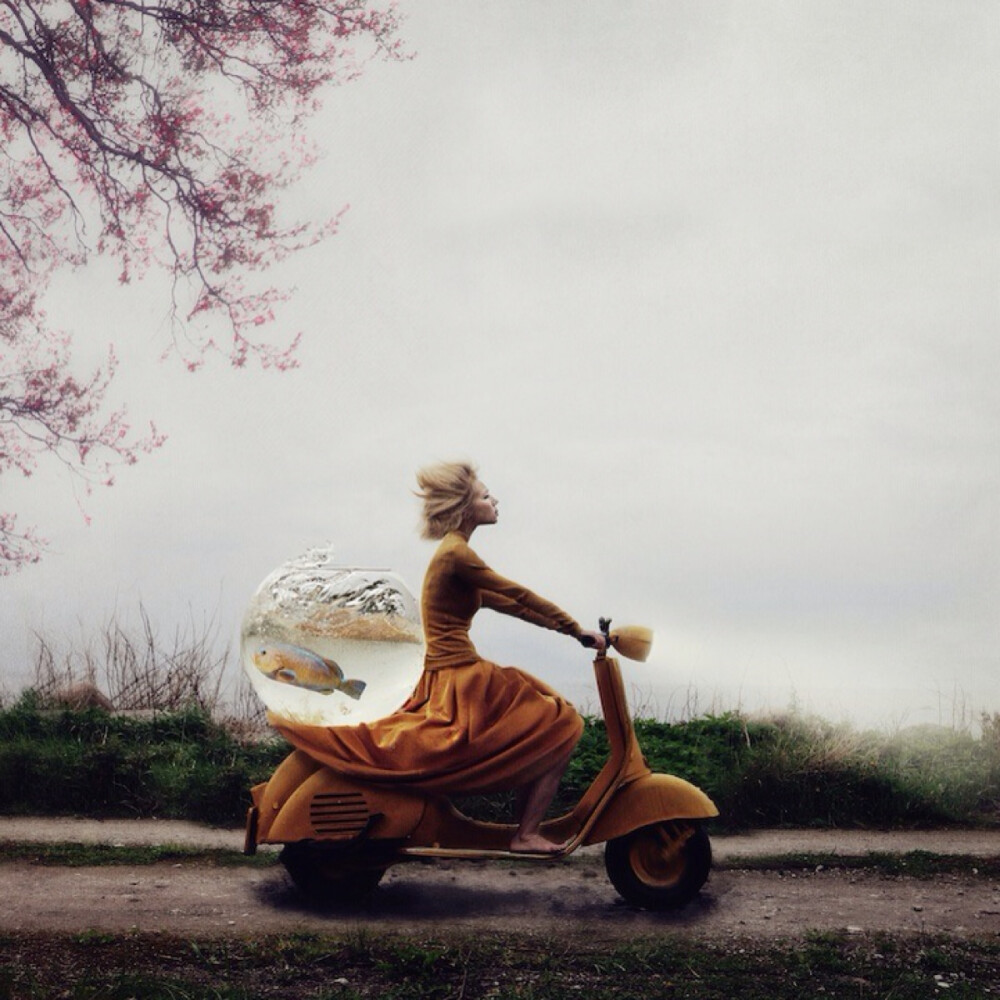 拯救鲸鱼（Rescue Operation by Kylli Sparre, Enhanced category 美国知名时尚与摄影网站My Modern Met评选出2014年度最让人叹为观止的37张照片。