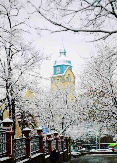  青岛 。。2014 最后一天。。。降下第一场雪