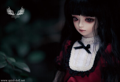 鬼契Spiritdoll-月桂 BJD娃娃 日本 动漫 SD娃娃 玩具 人偶 人形