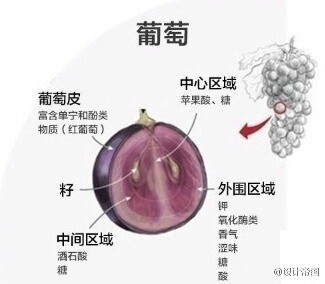 葡萄