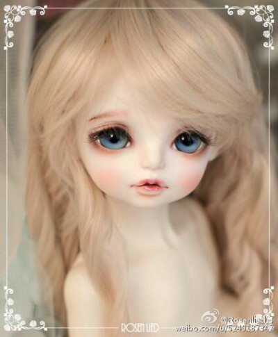 bjd doll