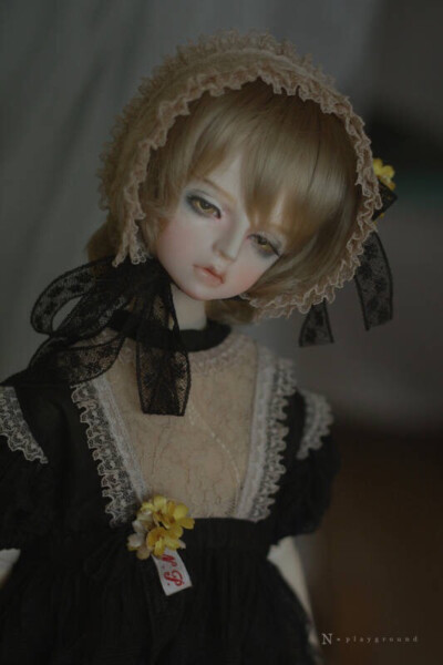 bjd doll