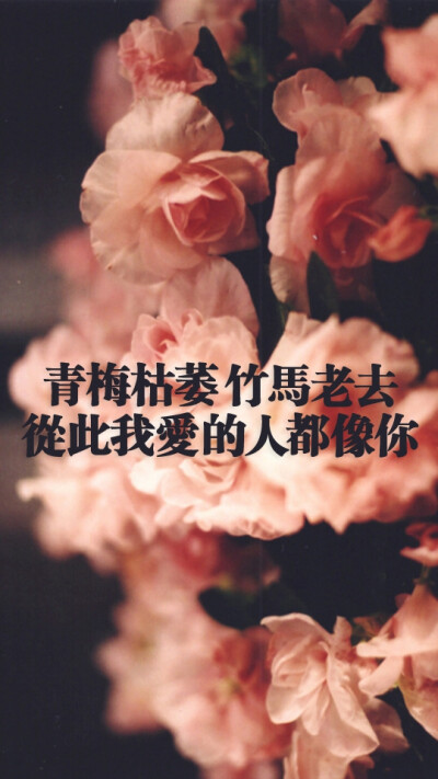 青梅枯萎，竹马老去，从此我爱的人都像你