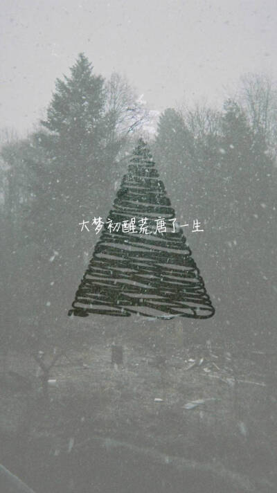 大梦初醒，荒唐了一生