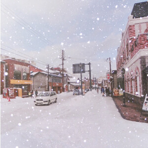 北海道の雪