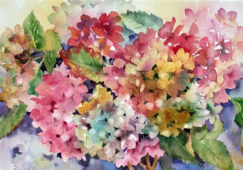 Ann Mortimer的水彩画