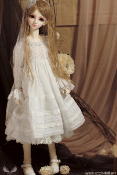 bjd doll