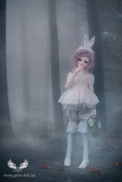 bjd doll