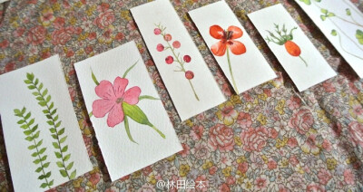 图片来源：http://weibo.com/lisalintian